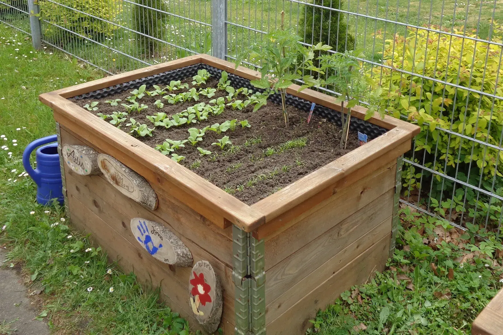 Hochbeet mit Pflanzen