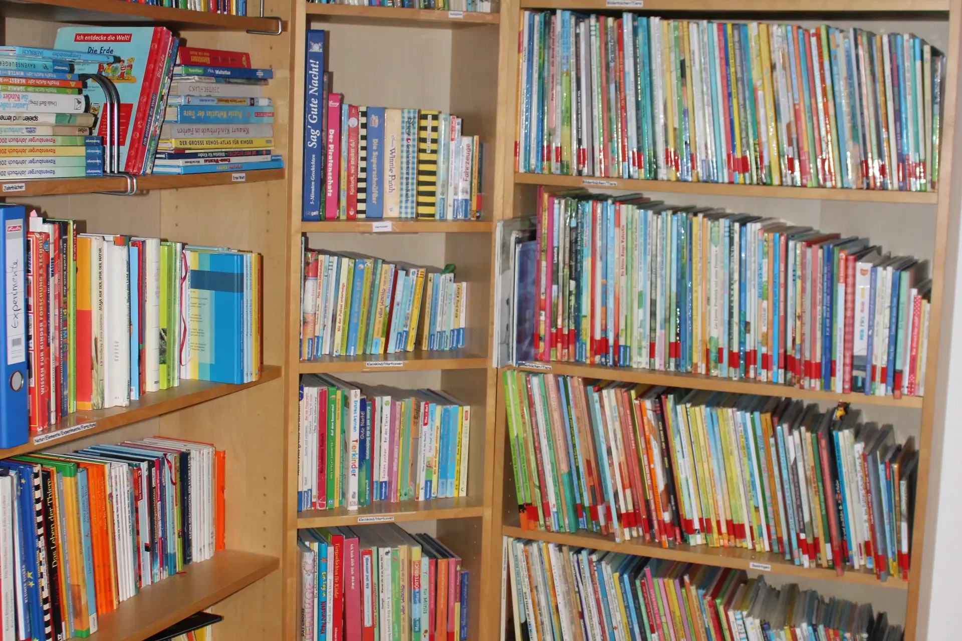 Gut gefülltes Bücherregal